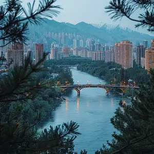 请问法律知识有什么用