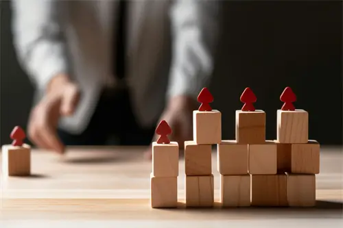 一条法律的补充叫什么